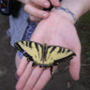 Meet your Posher, Robin